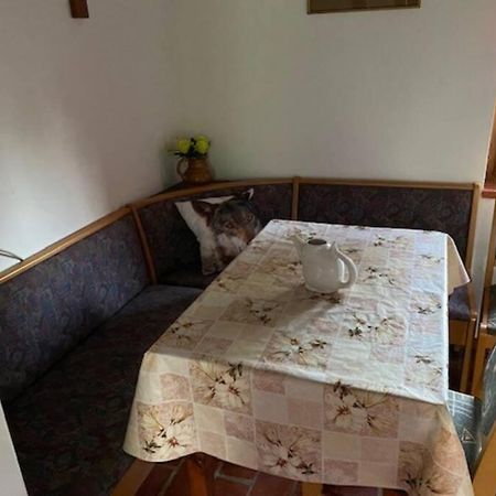 Villa Oaza Miru V Sozitju Z Naravo Sveti Jurij ob Scavnici Exterior foto