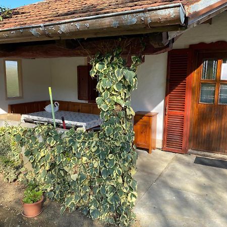 Villa Oaza Miru V Sozitju Z Naravo Sveti Jurij ob Scavnici Exterior foto